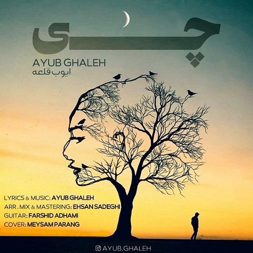 ایوب قلعه چی